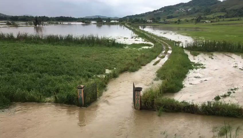 Río Grande – El Río Mameyes se encuentra fuera de su cause