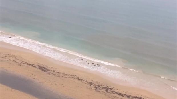 Aguas usadas invaden playa de Condado