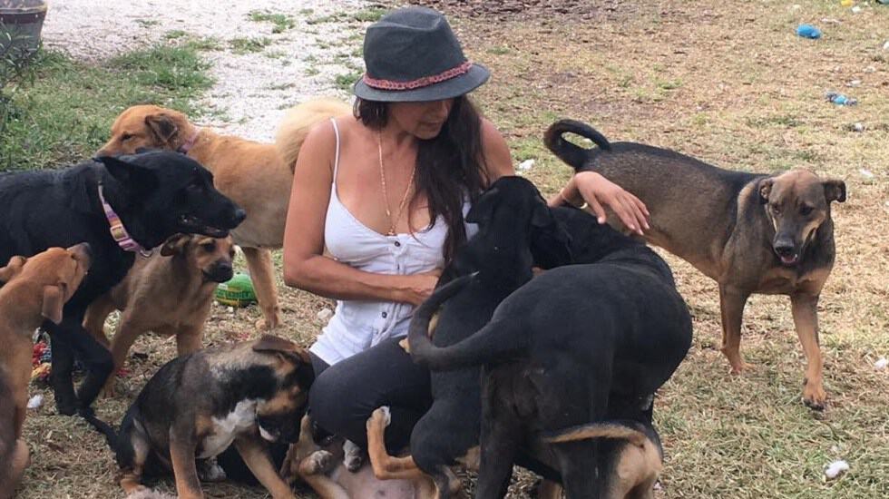 Una mujer de Bahamas trae noventa y siete perros dentro de una sola casa para protegerlos del huracán Dorian