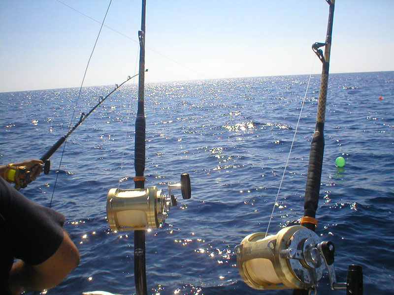 Agricultura extiende periodo para que pescadores soliciten ayuda económica aprobada por la NOAA