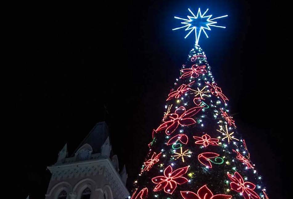 Municipio de Humacao anuncia programa de reciclaje de árboles de navidad