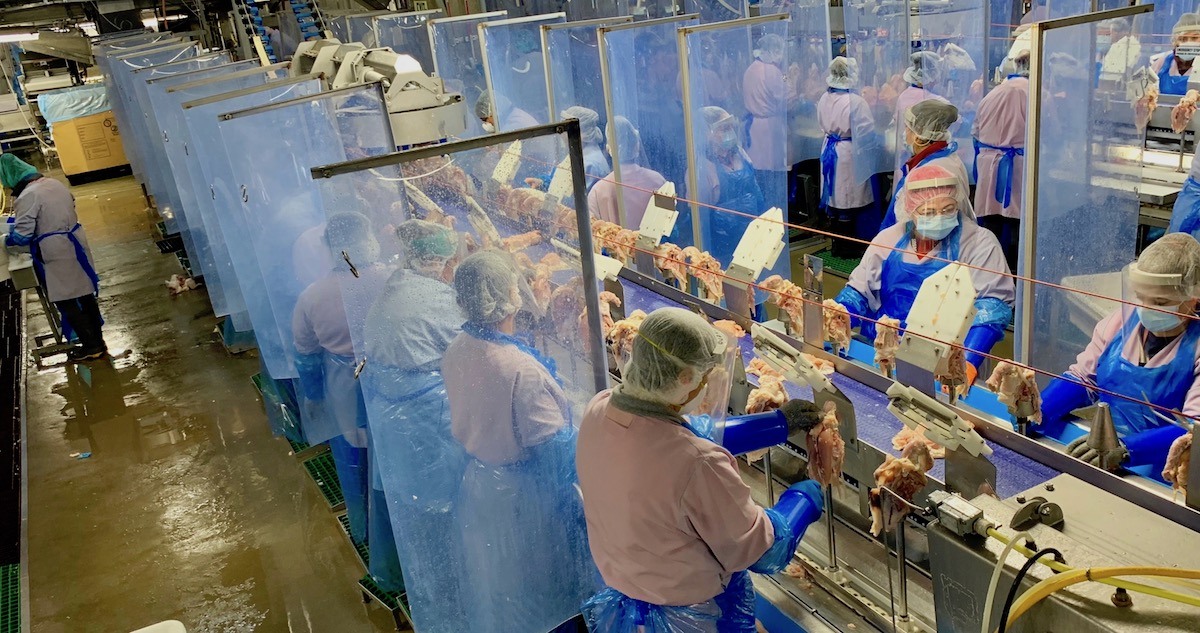 Tyson Foods retira pollo por posible exposición a bacteria