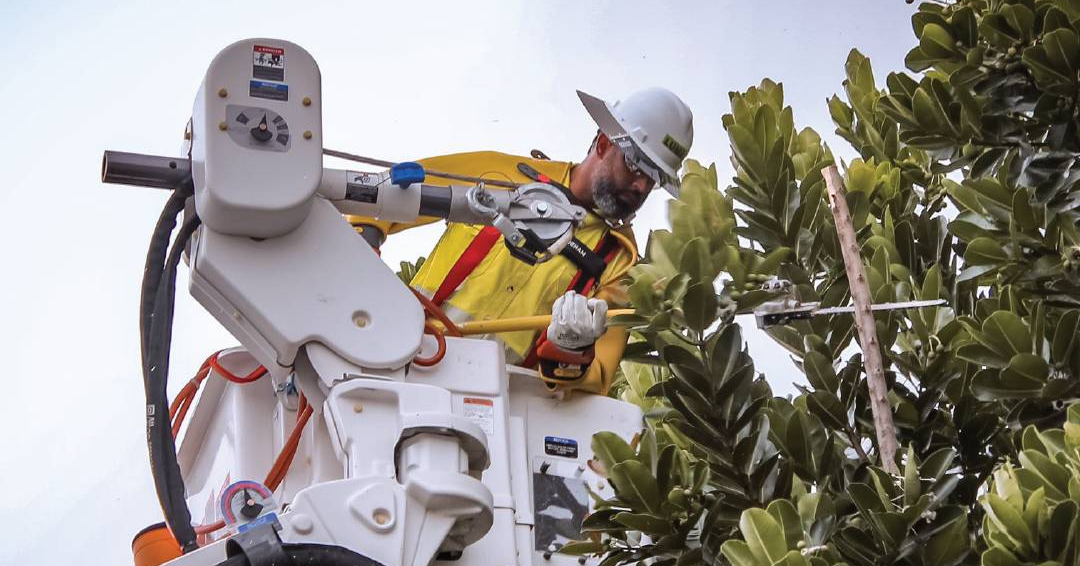 Sectores de Ponce, sin servicio eléctrico por más de 12 horas