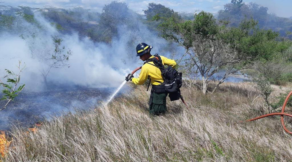 Aumento dramático en incendios forestales, déficit de bomberos