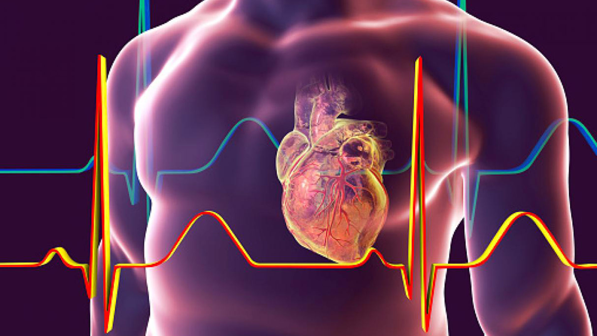 COVID prolongado puede conllevar lesiones cardíacas, afirma dice experta