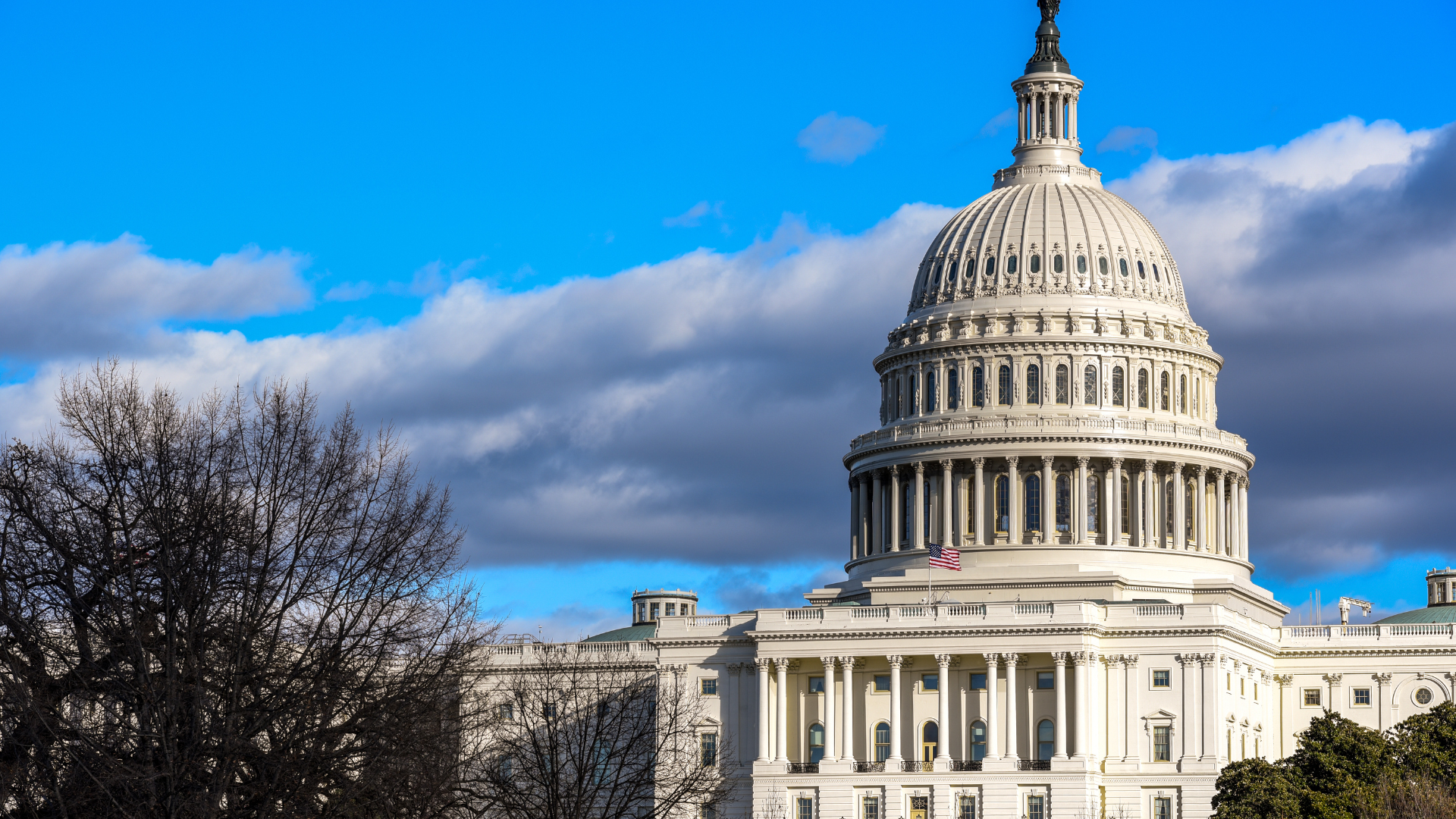 Senado federal aprueba proyecto de ley que incluye 400 mil millones para combatir el cambio climático
