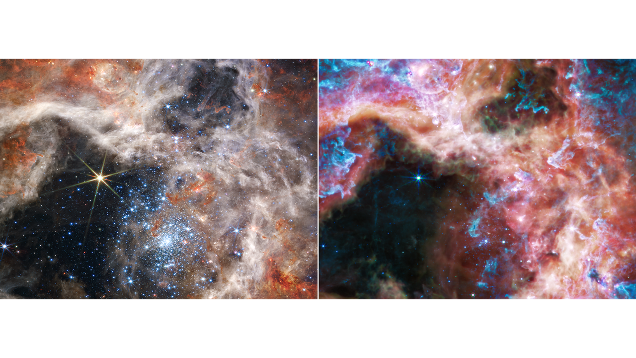 El telescopio de la NASA James Webb, capta impresionantes imágenes de ...