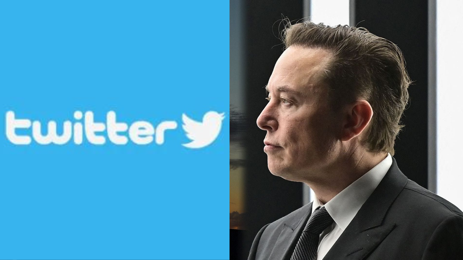 Elon Musk confirma que Twitter cobrará por la verificación de cuentas oficiales