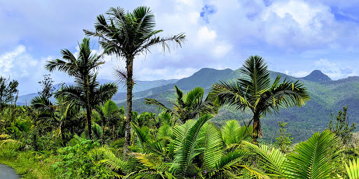 Discover Puerto Rico reanuda promoción de la Isla como destino turístico