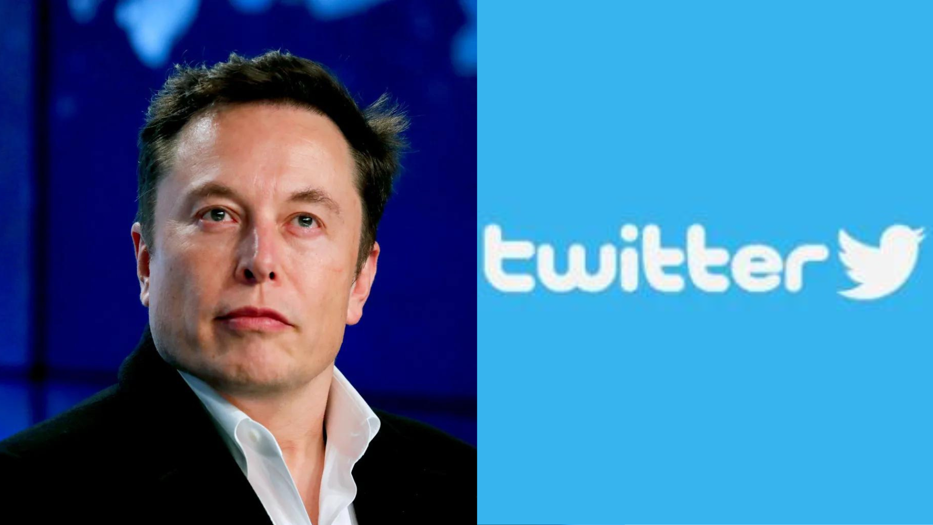 Empleados de Twitter radican demanda de clase contra Elon Musk por despidos injustos