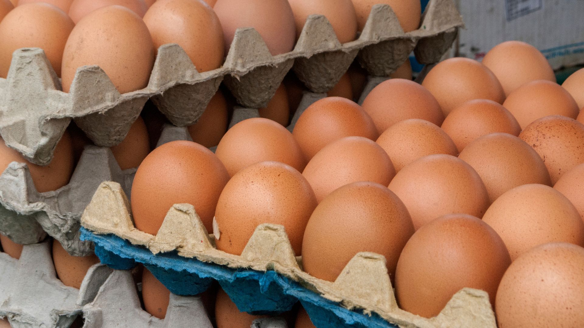 Disminuye precio del huevo del país