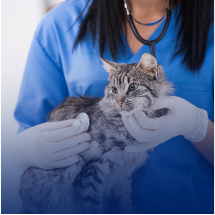 Primera Escuela Veterinaria en Puerto Rico