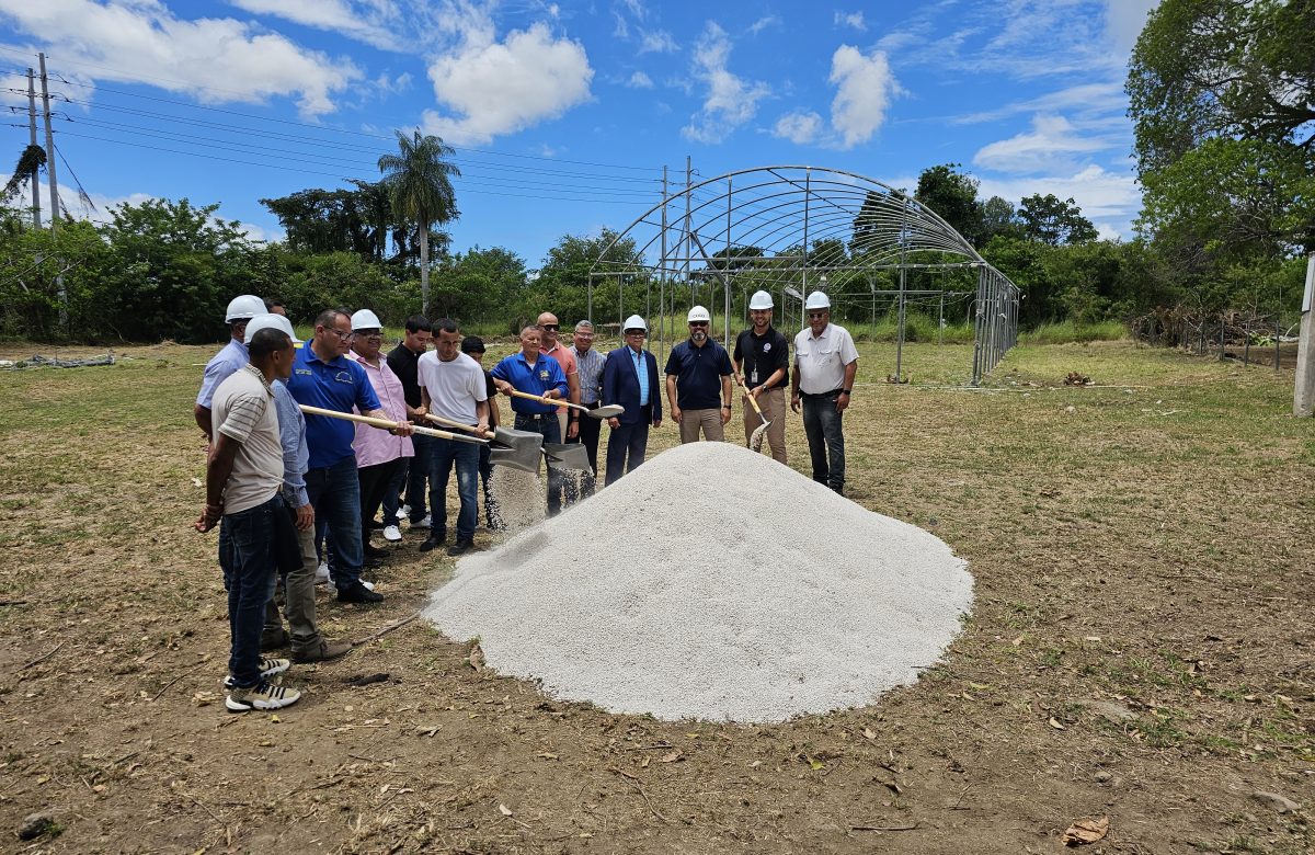 Comienza reconstrucción de hidropónicos de Hogar Crea en el área sur