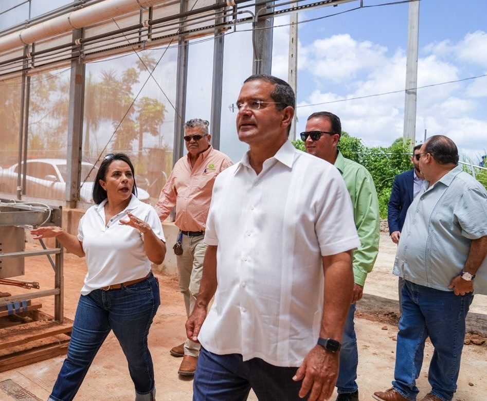 Gobernador anuncia expansión de empresa agrícola Campo Caribe